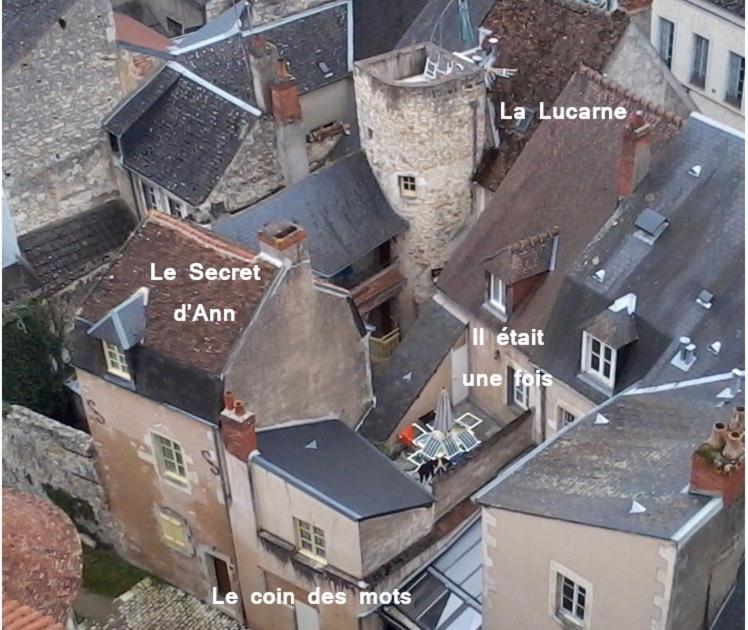 Le Passage Apartment ลาชาริเต-ซูร์-ลัวร์ ห้อง รูปภาพ
